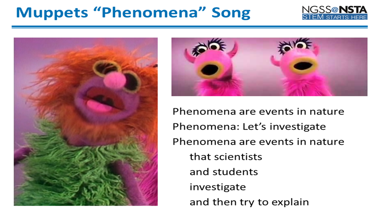 TedWillard2061's tweet photo. I wrote some lyrics to the muppets "phenomena" song. #ngsschat https://t.co/zRbLsyZDnr