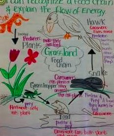 evacwynar's tweet photo. Anchor charts, planning templates, and board games...oh my!  Ecology Unit Planning @AtlanticHS #LTMDay https://t.co/MrjWsYVcLh