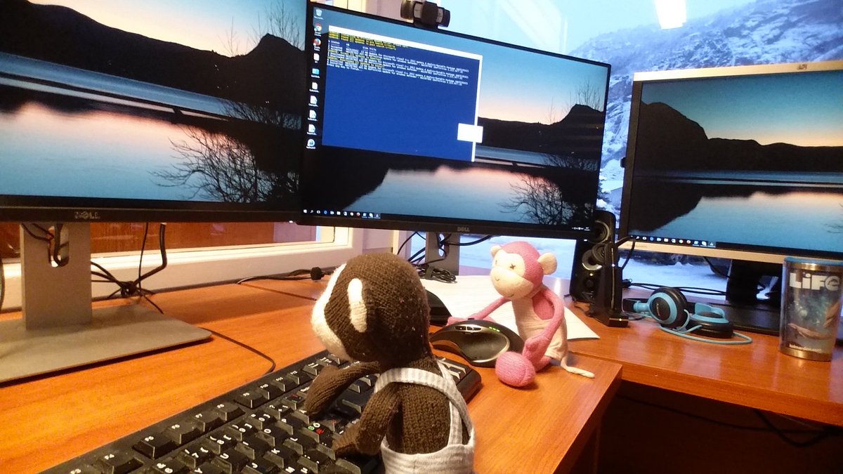 sigvaldh's tweet image. Kindergarden monkies helping with todays #monkeytesting