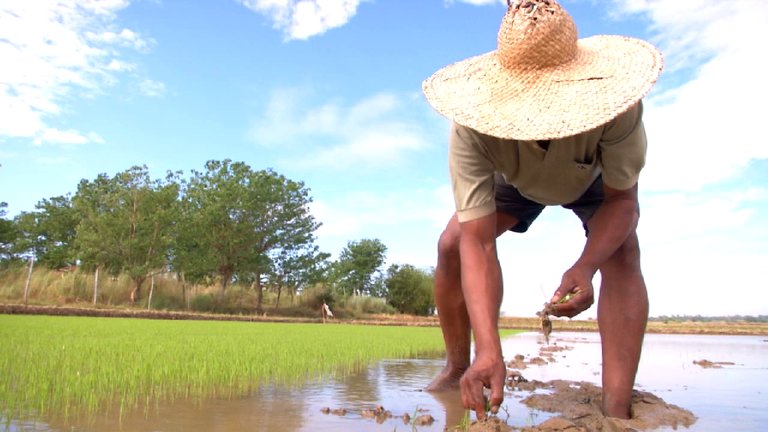 SaveChildrenPH's tweet image. Why do many PH agrarian/fishing communities don&apos;t get enough food? - #GetReal scph.at/1PYciFZ #HungerProject