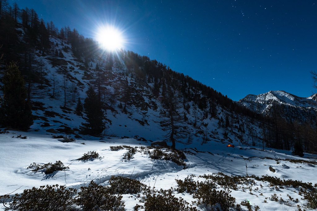 pralifreeride's tweet photo. Tranquillità e freschezza nei boschi della 9 illuminati dalla Luna. @PiemonteTurismo @piemonteparchi @neveitalia https://t.co/KrsmOvs950