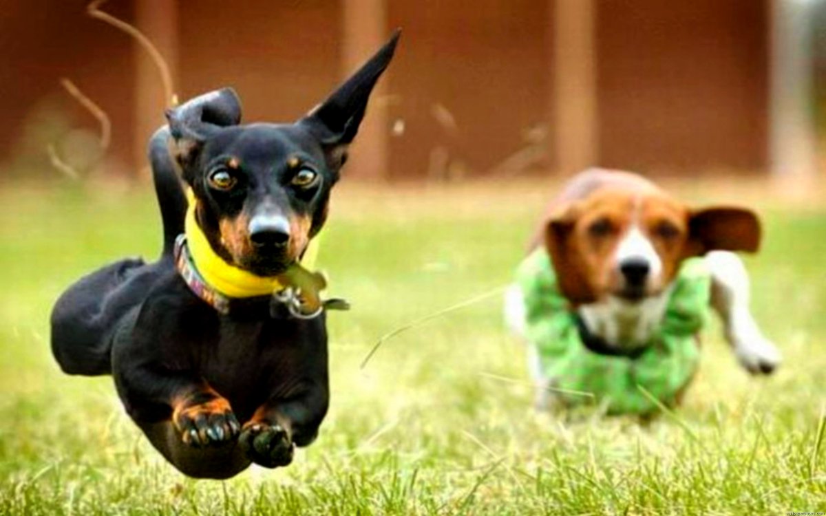 MATIASM97027089's tweet image. @PolakPotrafi333 Good morning. My friend :)