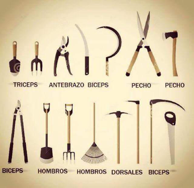 001Prosper's tweet image. @JeromofullGas @Llaneritto @xiscobsanchez @Sir_rm78