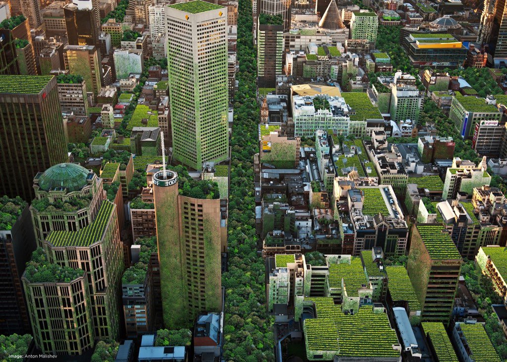 CropSwapAU's tweet photo. More trees in cities. Federal government to set goals. https://t.co/BMmAGlQtIu #trees #sustainability #city #green https://t.co/w4D0oiVCp1