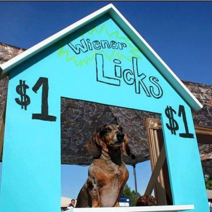 wiener licks 👅👅👅 https://t.co/4IZhXKUwP0<a href="/tag/catfish"class="tags"><span>#catfish</span></a>