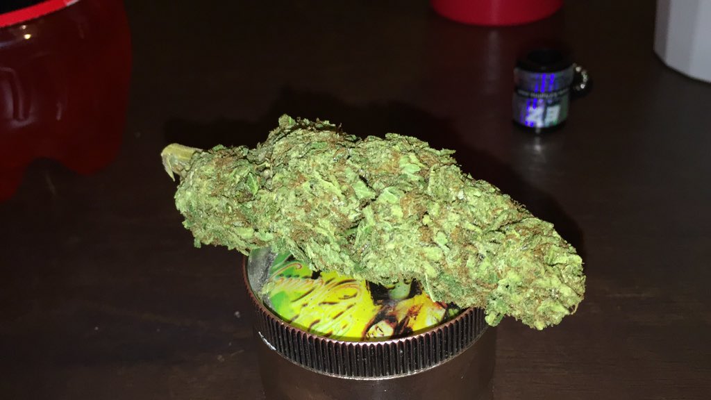 HelloMyStrainIs's tweet photo. Hello My Strain Is Beaver Mouth Kush💨
Taste was strong!! Fav&amp;RT
@WaxSpecials @ganjaqueeen420 @ThaStonerNation @420 https://t.co/vs5nkOMa3R