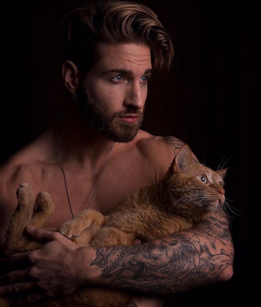 FabTabby's tweet photo. Sexy https://t.co/Bgi5WtEetM