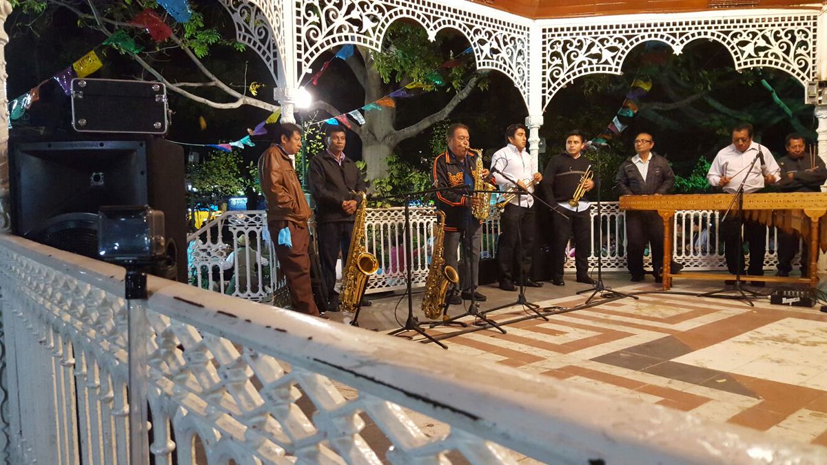 pacosolisax's tweet photo. ¡Palomaso con marimba! https://t.co/7gcmOtXKMY