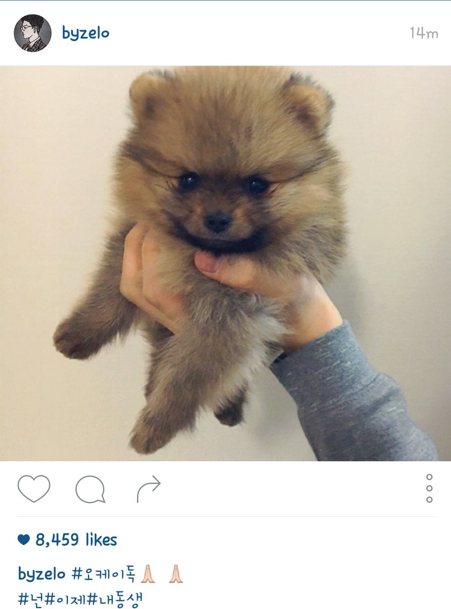 BABYPhilippines's tweet photo. [IG] 160205 Zelo (byzelo) posted a picture on IG- #OkDog #YouAre #Now #MyDongsaeng https://t.co/TniPqrYR8x (via: BAP_Intl)