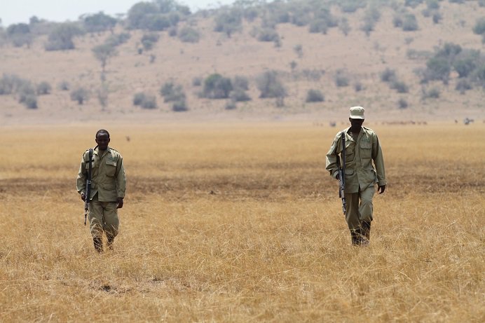 AkageraPark's tweet photo. Nearly 20% increase in the number of #Rangers patrols conducted in #Akagera #Rwanda #Highlights2015 https://t.co/7Q2sUNsOQf