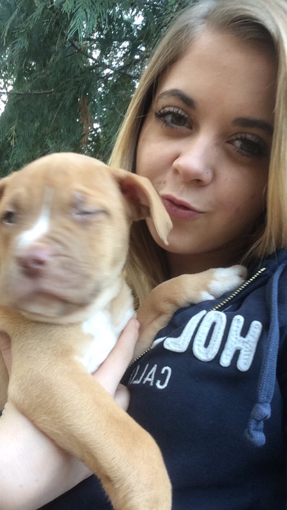 Dakotalacey314's tweet photo. 🐾🐶currently in puppy heaven ....#foundmy #softspot https://t.co/Vnuz5zSeMS