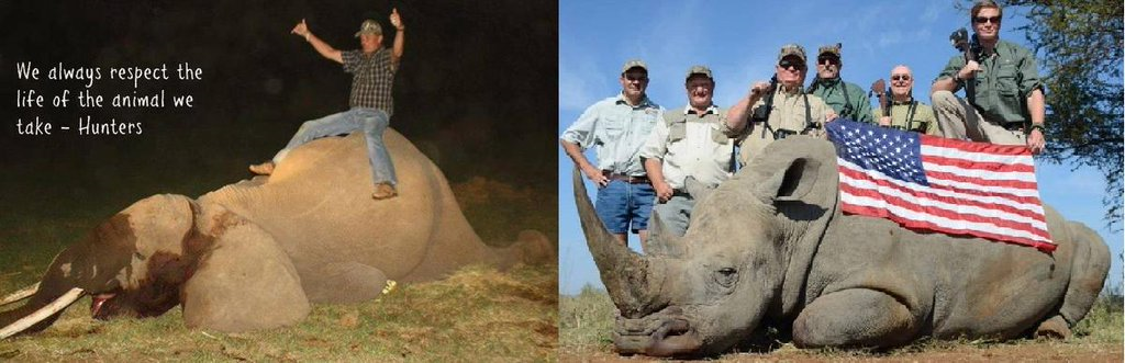 Hunters always 'respect' the animals? #StopSCI #TrophyhuntingIsMurder