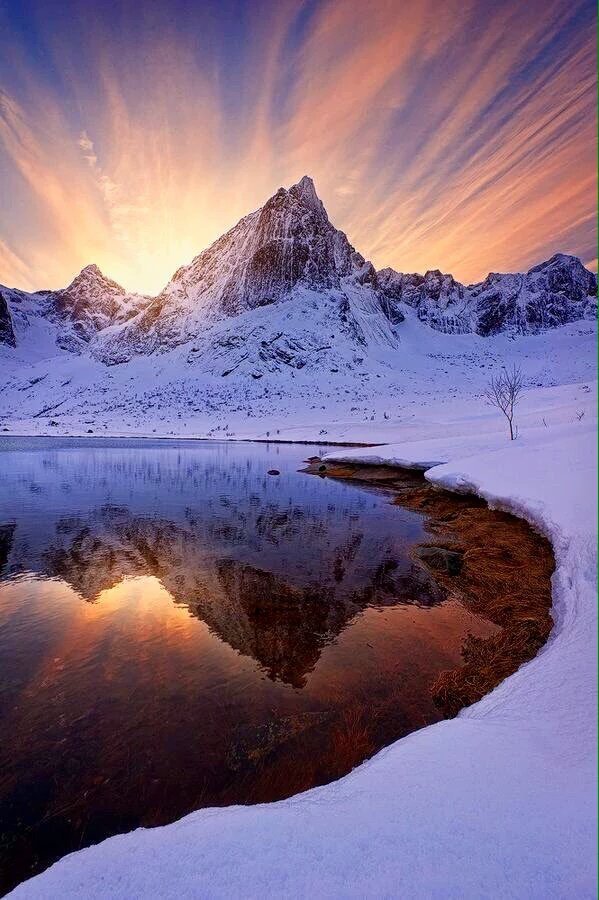 Can Dalöz (@candaloz) on Twitter photo 