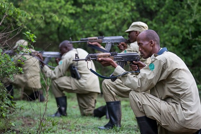 AkageraPark's tweet photo. #Poaching in decline; 12 arrests compared to 57 last year. 6 evaded arrest compared to 39 in 2014 #Highlights2015 https://t.co/4fGZjHlEJX