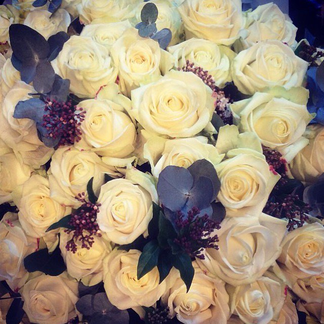 Avalanche roses for Valentine's Day .. Taking orders now