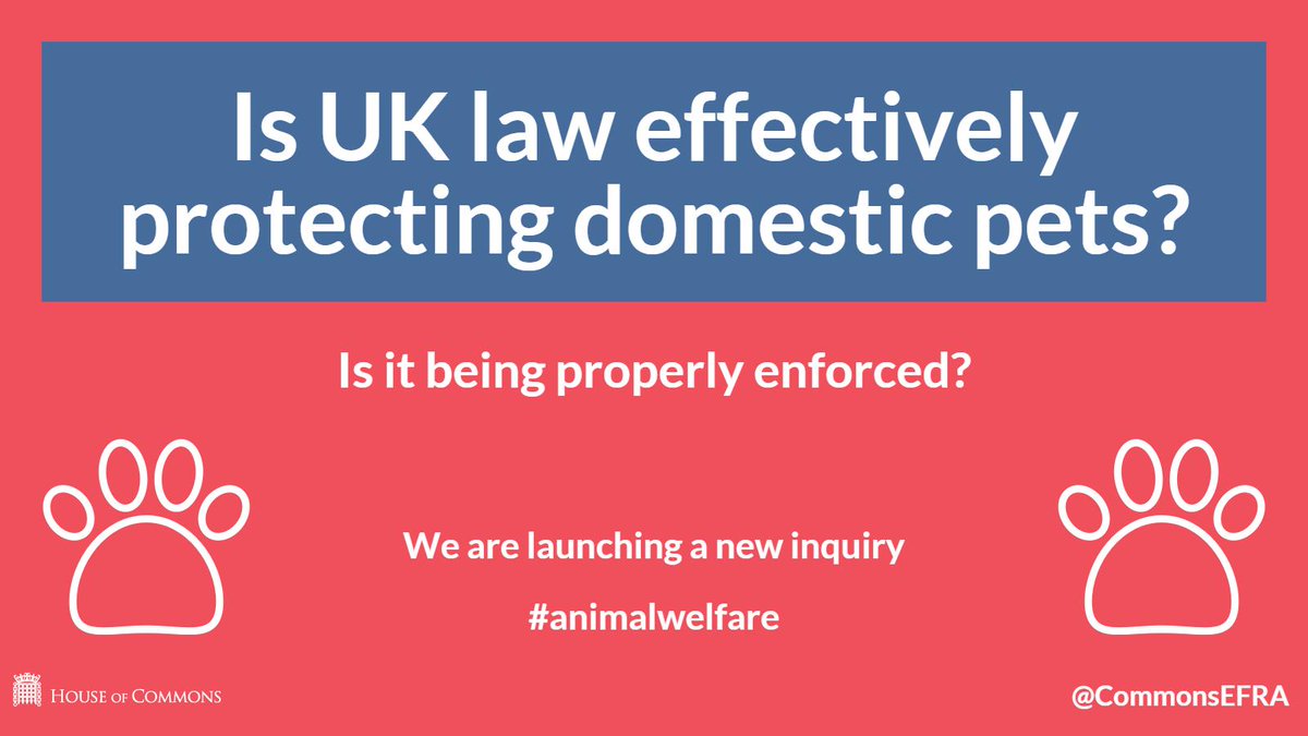 CommonsEFRA's tweet photo. Can you contribute to our #animalwelfare inquiry? Send us your views: https://t.co/INwQBfEeRk https://t.co/CufWuU56T5