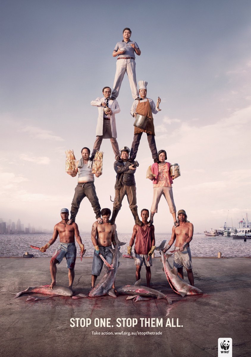 Kita bisa putuskan mata rantai perburuan Hiu dengan berhenti mengonsumsi produk-produknya #ImlekBebasHiu #SOShark