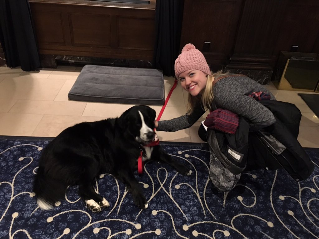 Daphnie, the hotel dog. I visit her every time we leave and come back. She is by far my fave part of this hotel!