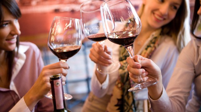 Vi Menorca tweet media