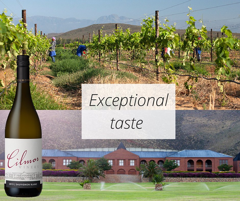 Discover the exceptional taste at Cilmor Wines by visiting our #wine estate in #Worcester. #winelover #southafrica
