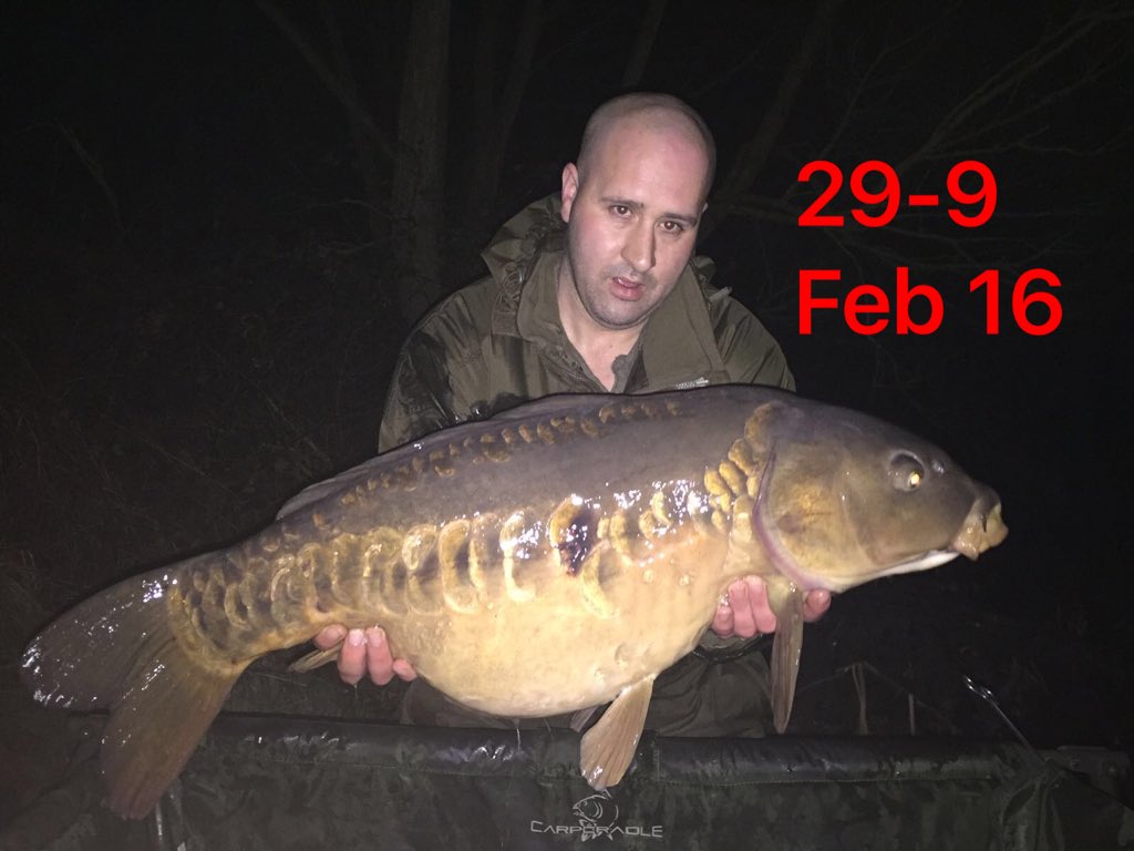 poolhallfishery's tweet photo. Nailed on a Vardis Hook and good old PH Squid. https://t.co/2e1drDRwY7