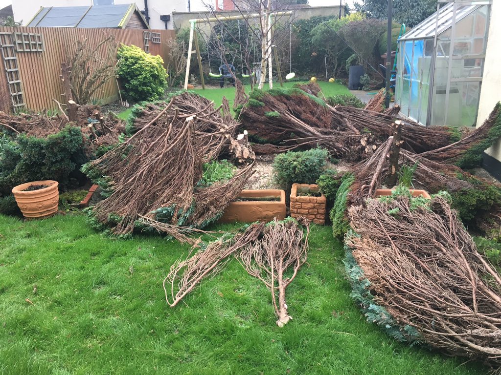 DoctorsTree's tweet image. Bit of a mess in ashford, and the stumps have to be dug out 😕😰