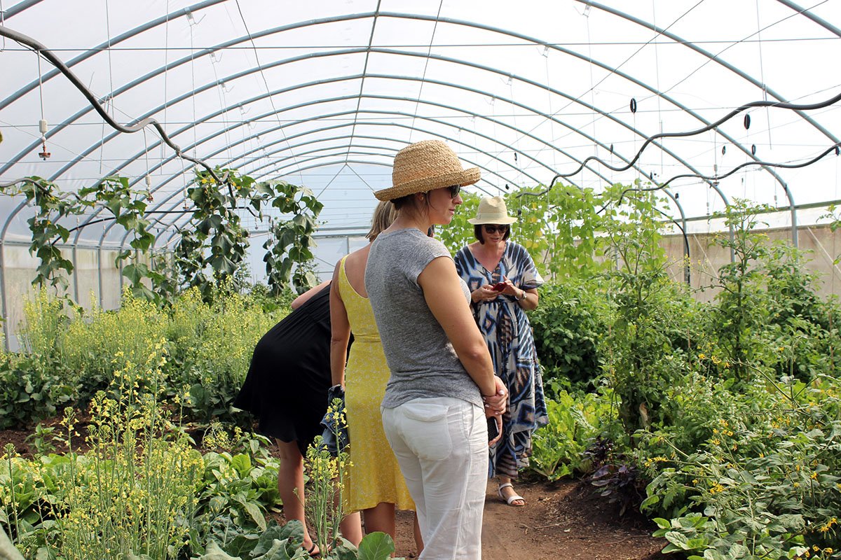 Grootbos's tweet photo. A story of a special lunch on the working @GrootbosNGOZA farm that supplies #Grootbos: https://t.co/GsztPU28C3 https://t.co/Mijao1ZYP3