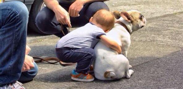 me whenever I see dogs