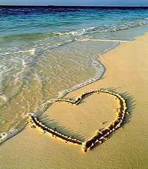 MazeppaBayHotel's tweet photo. You never know what can happen, book for Valentines Weekend Special now!! https://t.co/B9bqRv69YY