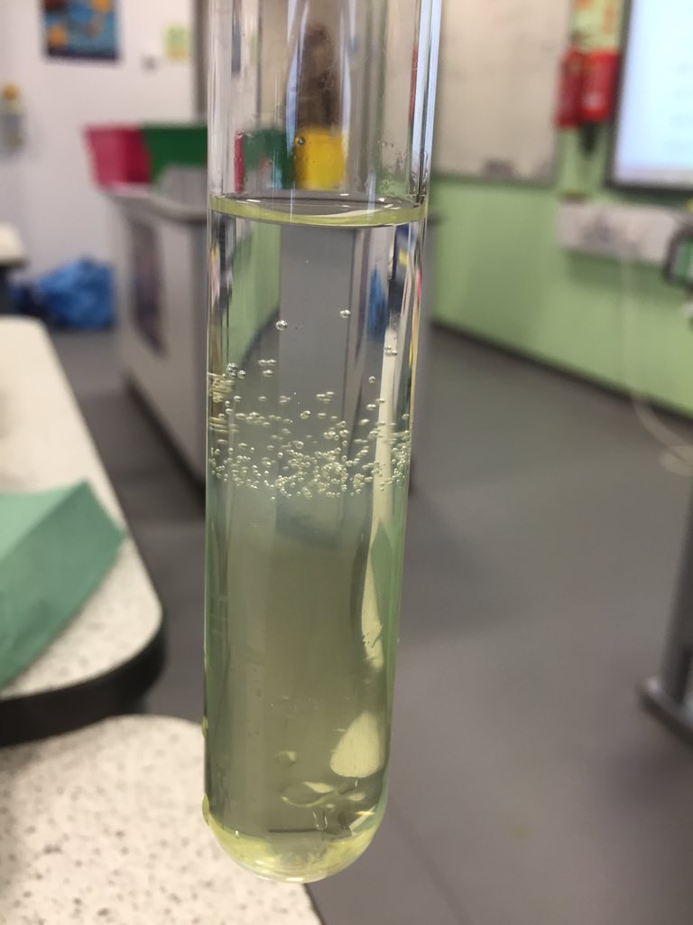ScienceRamsey's tweet photo. Extracting DNA from #kiwi Experiment that first made me want to be a #scientist https://t.co/eNpwlvWuj0