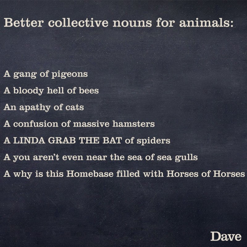 davechannel's tweet image. Better collective nouns for animals: