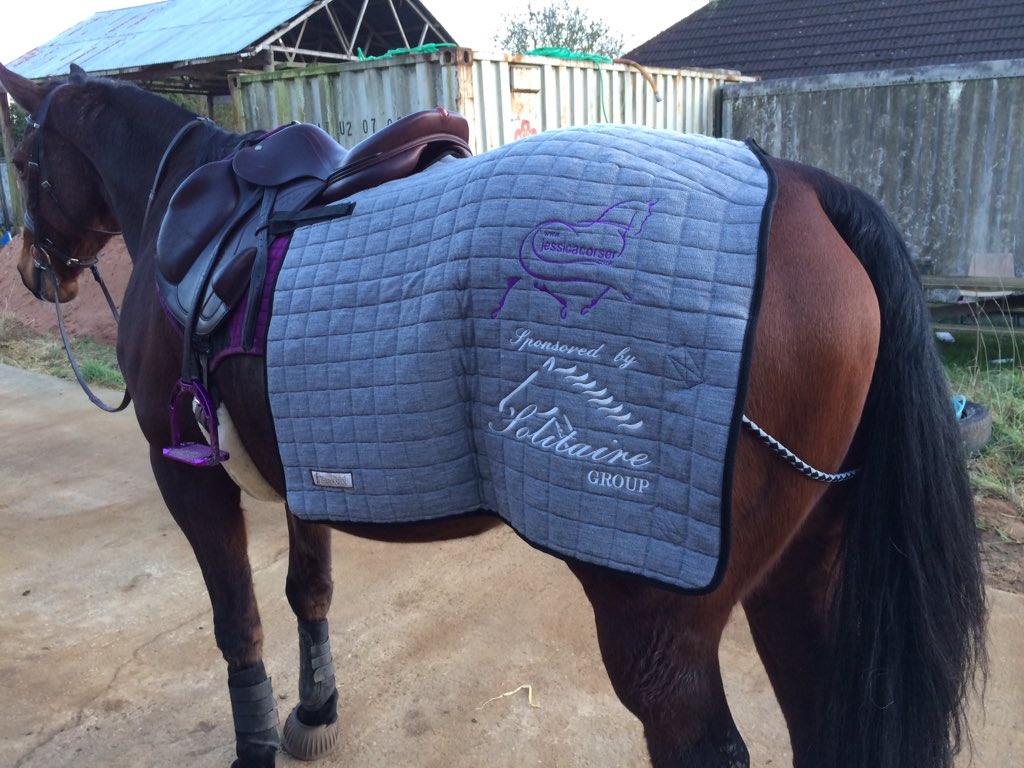 JC_Eventing's tweet photo. Blazer modelling the new quarter sheets😘 @Jessica_Corser #thermatex #solitairegroup #eventing #livingthedream 💪🏻 https://t.co/Y5IsD82CY5