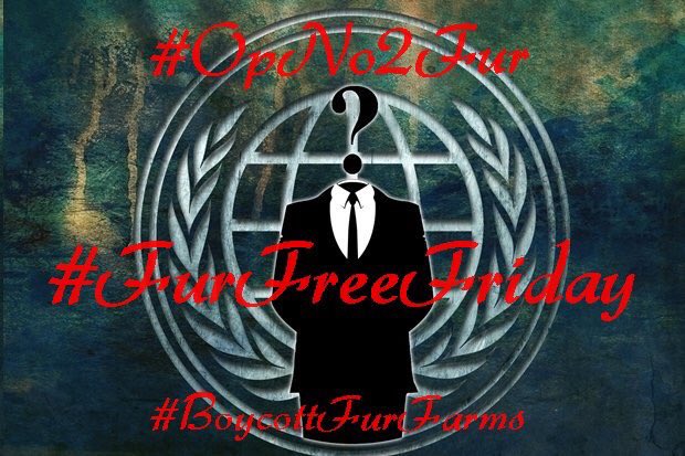 OpNo2Fur's tweet photo. #FurFreeForever #FurFreeFriday #StopTheSlaughter https://t.co/YKI20oglPx