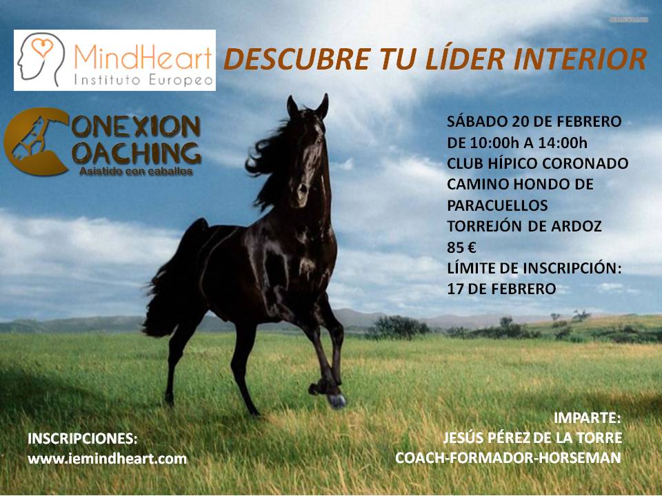 CONEXIONCOACHIN's tweet photo. #coaching CON #caballos con @IEMindheart #Torrejon 
https://t.co/WhE0sOiki8 https://t.co/X2fCb66uvf