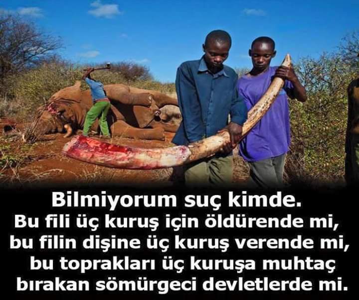 Tugce Guler (@tugceguler11) on Twitter photo 