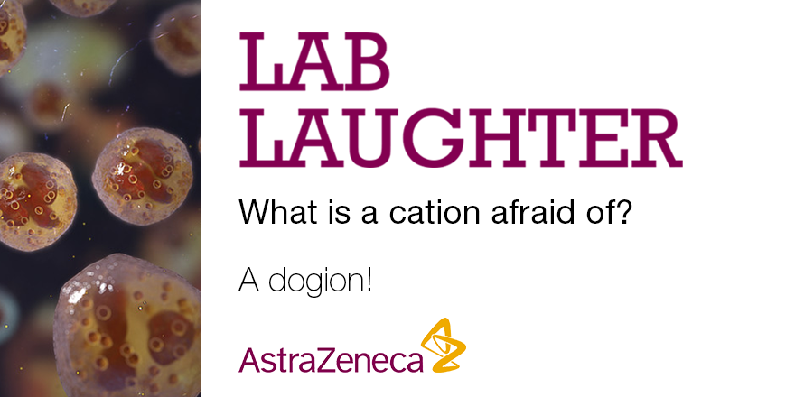 AstraZenecaJobs's tweet photo. Tell us: which side do you take in the classic #cat versus #dog debate? #AstraZeneca #LabLaughter https://t.co/ZLcJ0fLoiH