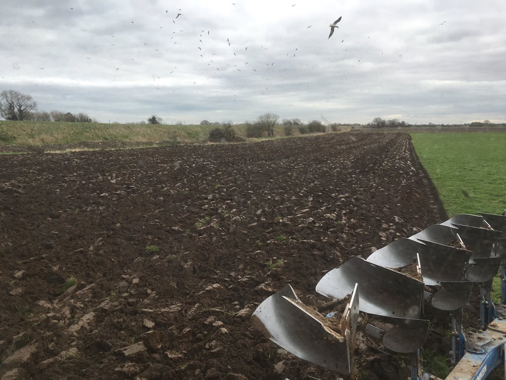 Not missed this task #contracting