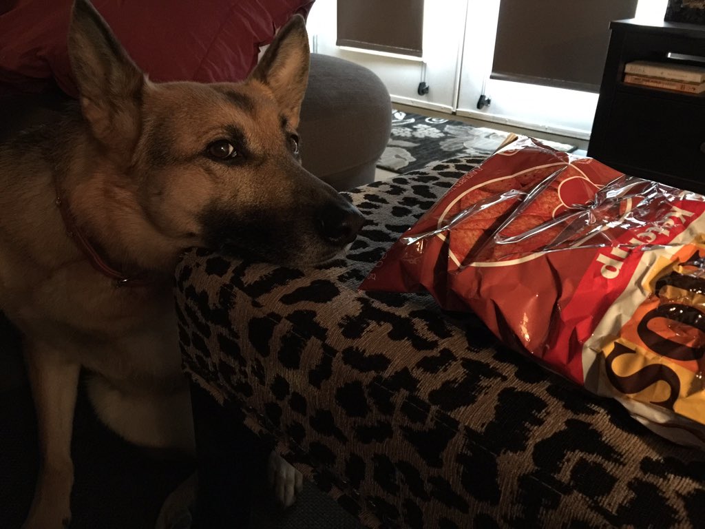 Hillary Proctor tweet media