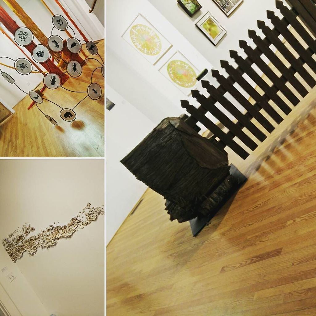 VisitCorvallis's tweet photo. (https://t.co/LLohC2TZDG) From "Rot: the Afterlife of Trees," which you can go see at @theartscenter in #Corvall… https://t.co/DjkyKTxphA
