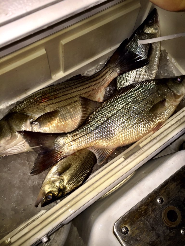 2 man half day fishing trip up for auction and is at a penny at HuntBidz.com