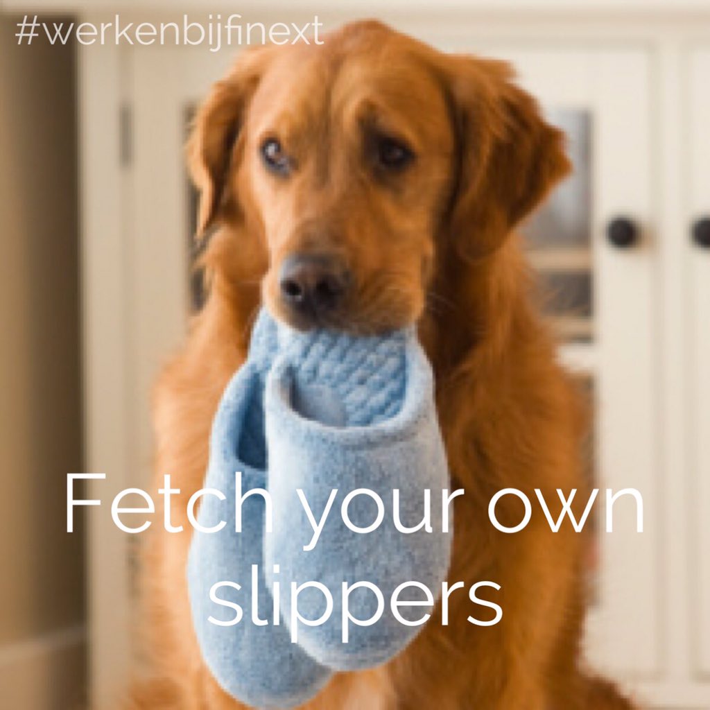 Alleen honden hebben een baas. 

Werken bij een bedrijf zonder bazen?
finext.nl/agenda/inhouse…

#traineeship #finext