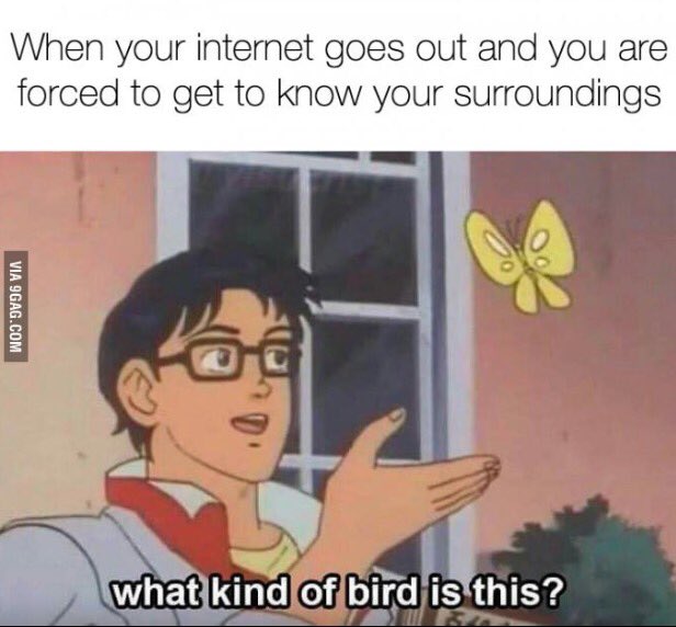 Olivia Sanabia desktop Wallpapers