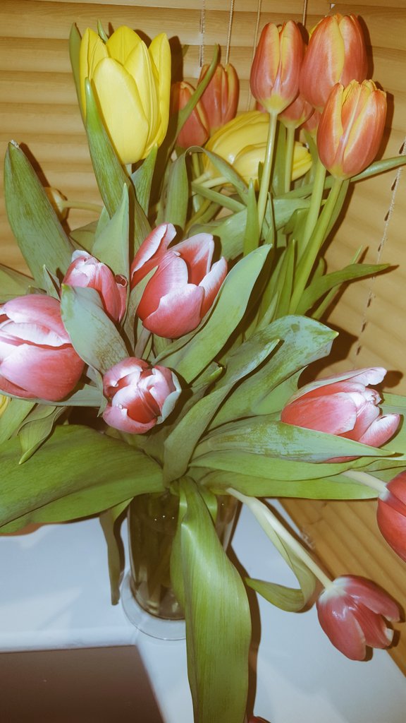 rosella_rea's tweet photo. You always know how to make me smile....
#love #casarea #flowers #SmileMore https://t.co/i9PJPBN8nI
