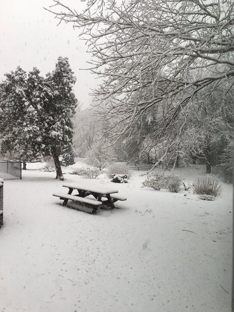 mike_whaples's tweet photo. #weatheron3 #ivorytonct https://t.co/97OuV2KRDG