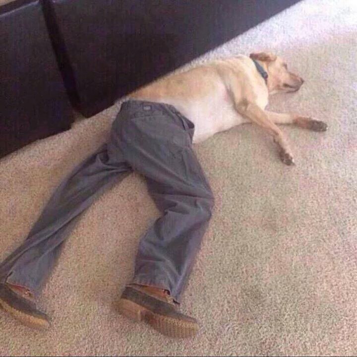 Cad6iFfWAAEifxw.jpg:large