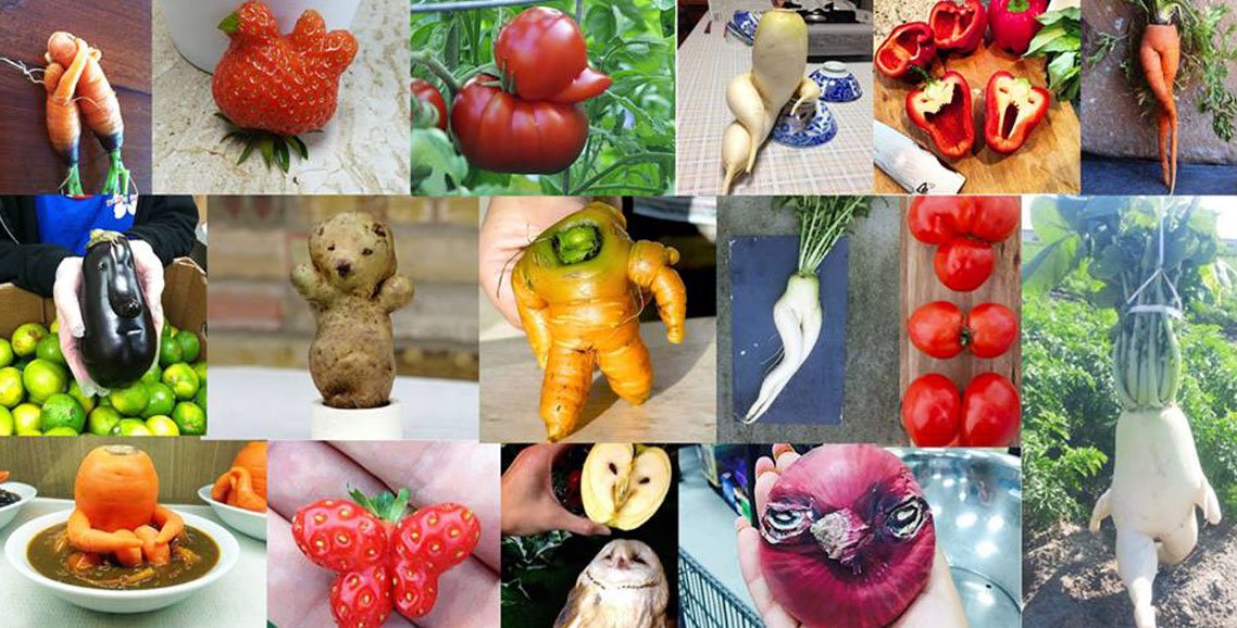 Kissbankers's tweet photo. @OptiMiam , @CforGood et @GueulesCassees engagés dans le ZERO WASTE ! sur @anousparis 🍅🍆🌽🍉
►https://t.co/LrBb9hvWnM https://t.co/89twUhzvNI