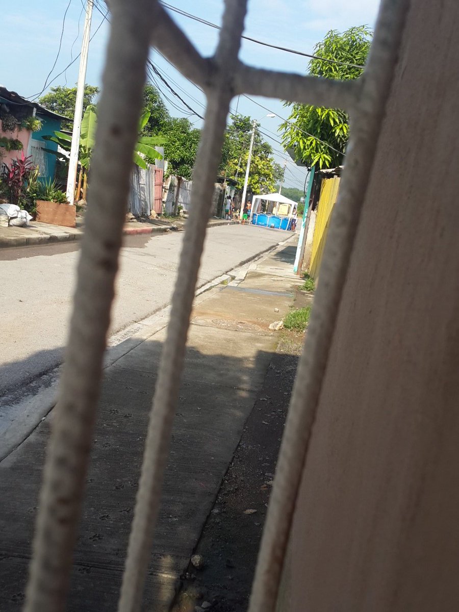 d03fe3734bb44f7's tweet photo. @teleamazonasec estos son los primeros dueños de la calle https://t.co/lUlsEUTv1c