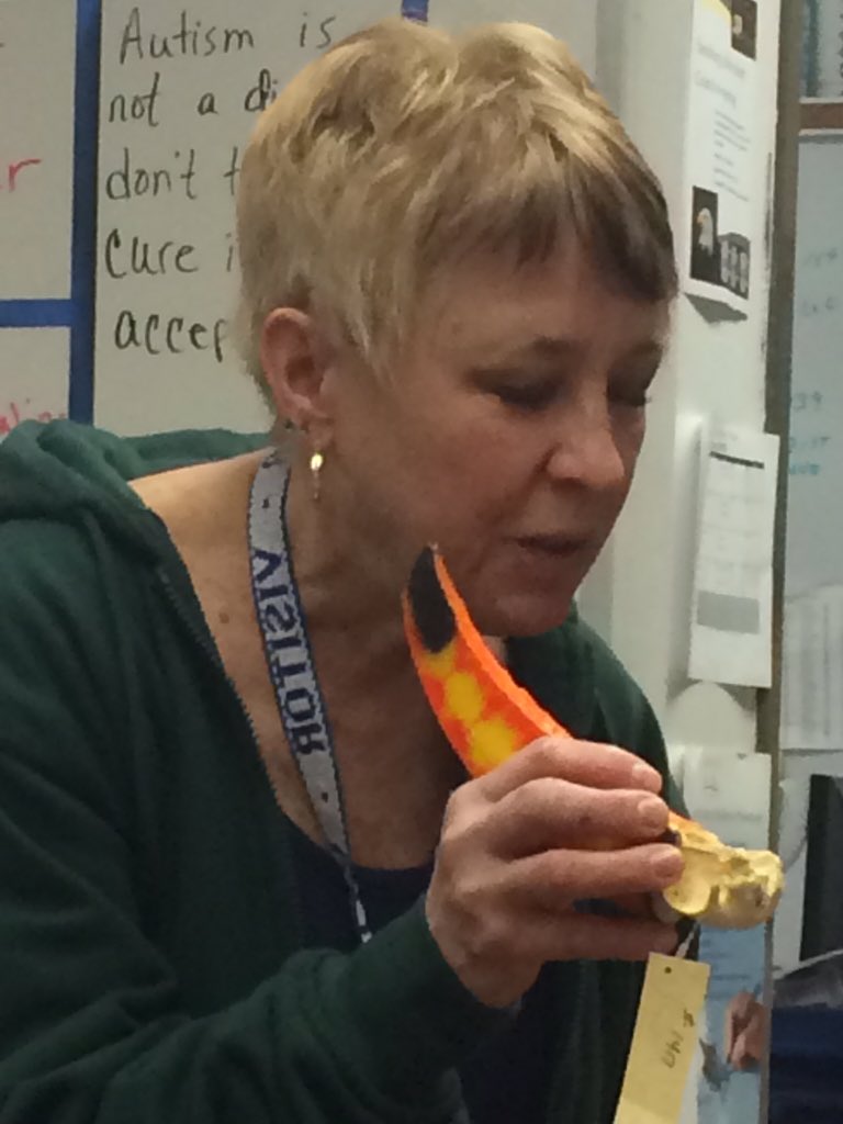 BethBtheisen's tweet photo. Thank you Brookfield Zoo animal specialist, Karen Hart, for visiting 0 hour Occupations class! https://t.co/afx0rPhiSl