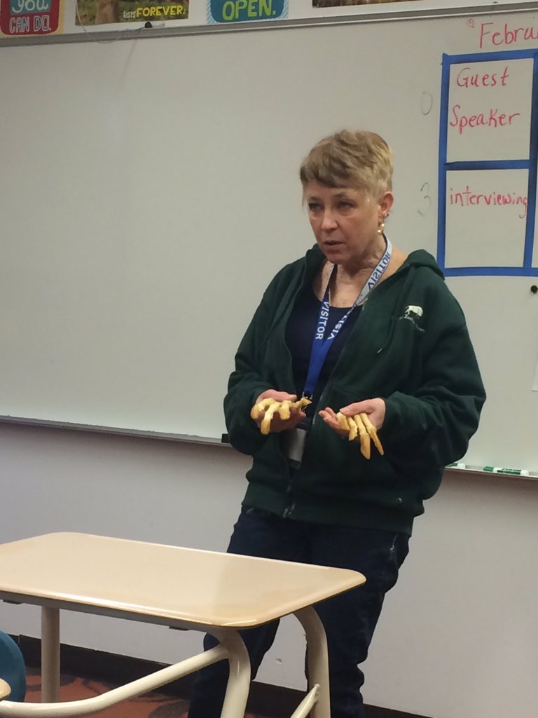 BethBtheisen's tweet photo. Thank you Brookfield Zoo animal specialist, Karen Hart, for visiting 0 hour Occupations class! https://t.co/afx0rPhiSl