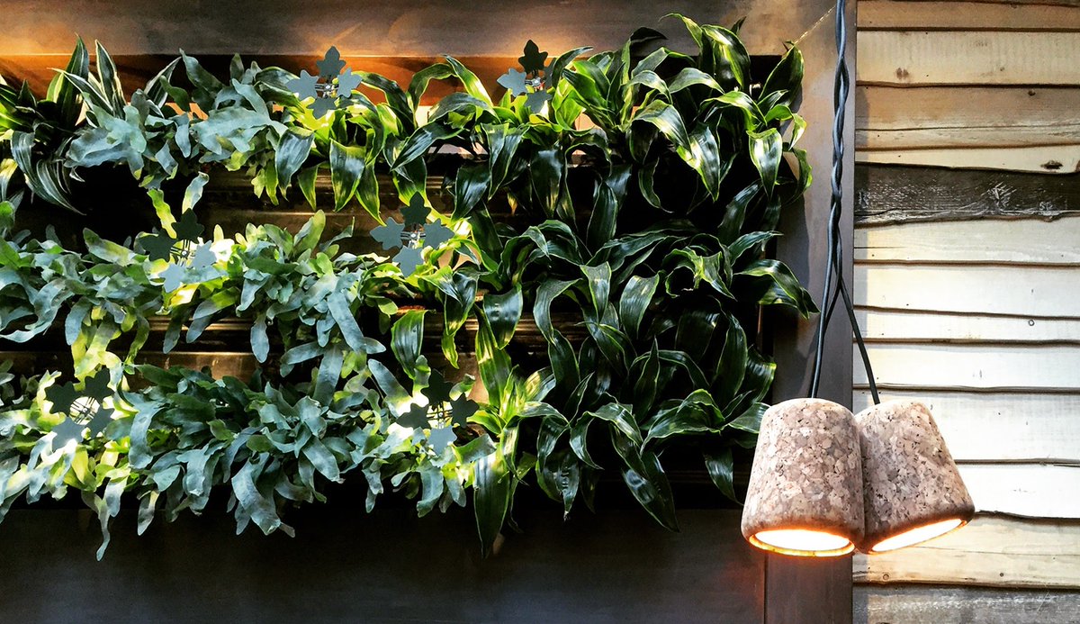 DC at Light Corporation tweet media